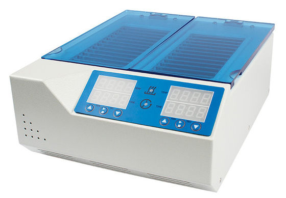 Tipo de sangue F37-12X2 incubadora do termostato do cartão com capacidade do sangue do cartão 12X2