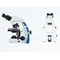 Foco binocular do microscópio biológico da câmara digital Pl10x auto